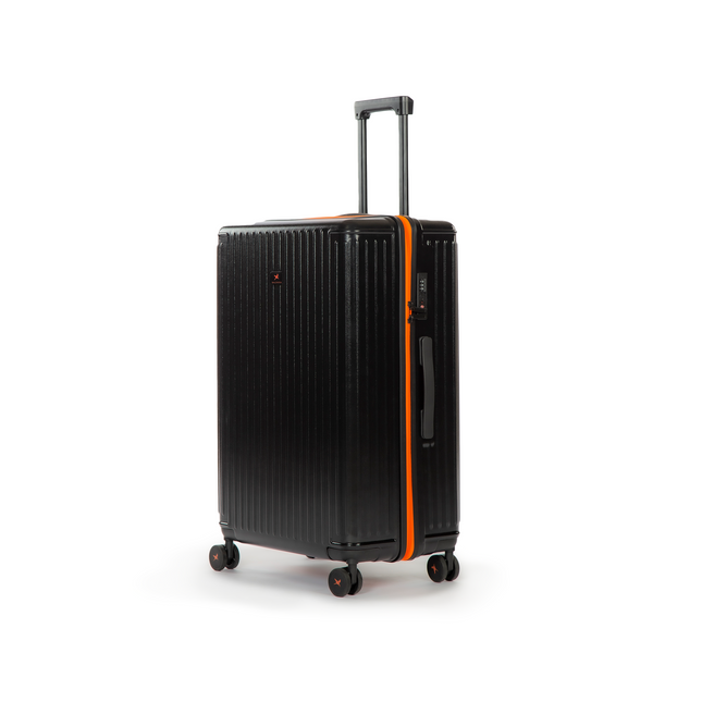 The Arctic Tern - Check-In Medium