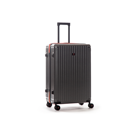 The Arctic Tern - Check-In Medium