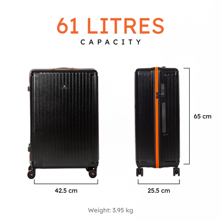 The Arctic Tern - Check-In Medium