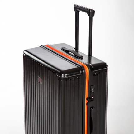 The Arctic Tern - Check-In Large