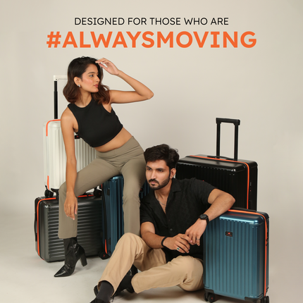 The Arctic Tern - Check-In Large