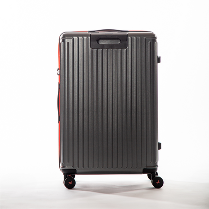 The Arctic Tern - Check-In Large