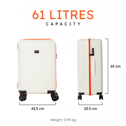 The Arctic Tern - Check-In Medium